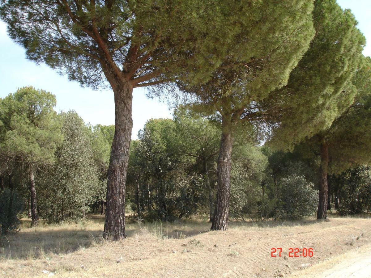 Casa Ana Villa Villamarciel Luaran gambar